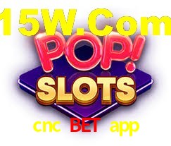Experimente o Login Seguro Premium no cnc bet app