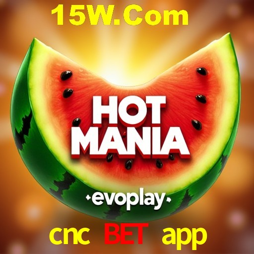 Crash Games Statistics cnc bet app