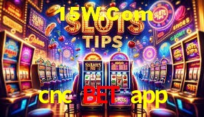Sports Statistics cnc bet app