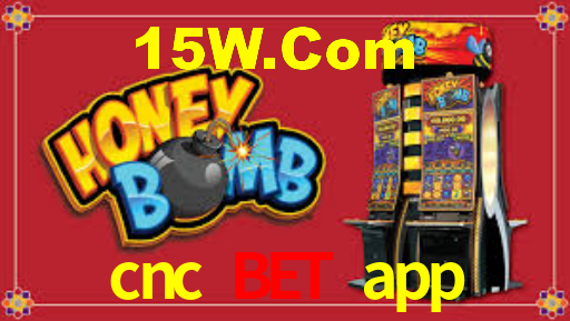 cnc bet app: Seu Cassino Premiado com Pagamentos Rápidos