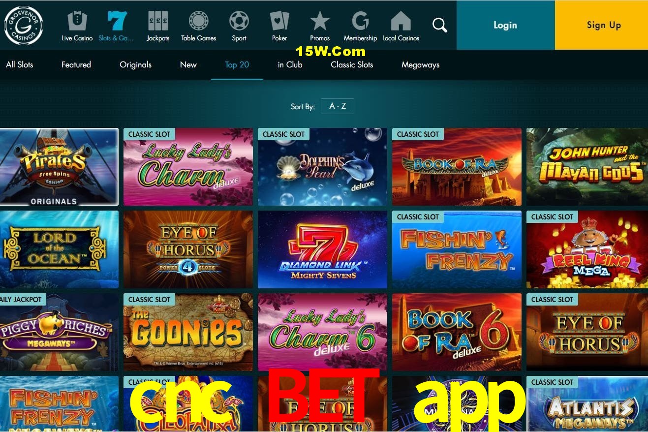 Game Statistics cnc bet app