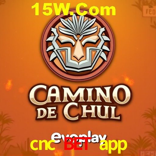 Security Systems cnc bet app