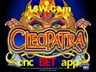 Game Providers cnc bet app