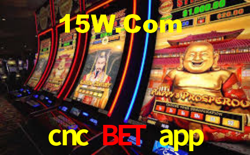 cnc bet app: A Experiência de Casino com Jogos de Mesa ao Vivo