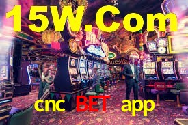 Sinta a adrenalina dos jogos de cassino com cnc bet app