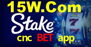 Programa VIP cnc bet app